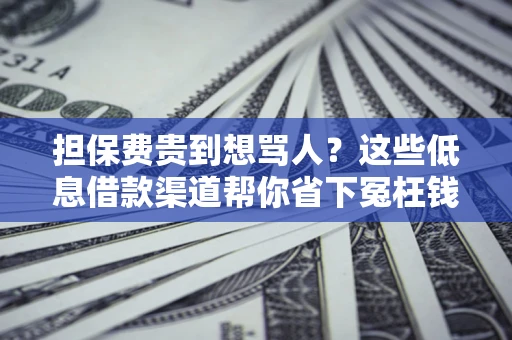 济南担保费贵到想骂人？这些低息借款渠道帮你省下冤枉钱