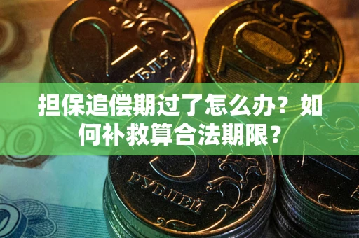 济南担保追偿期过了怎么办？如何补救算合法期限？
