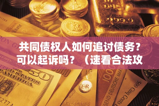 济南共同债权人如何追讨债务？可以起诉吗？（速看合法攻略）
