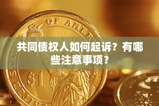 济南共同债权人如何起诉？有哪些注意事项？